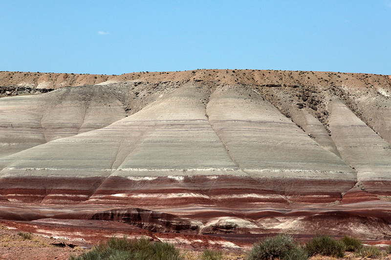 Bison : Antelope Island : Utah : Landscape Photos : Richard Moore : Photographer